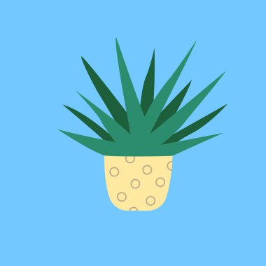 Kaktüs ve sulu bitkiler tencerede yetişiyor. Vektör Kaktüsü ve ev bitkilerinin sulu koleksiyonu.