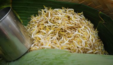 fasulye filizi muz yaprağı yer için sunucu doğal gıda sebze olarak