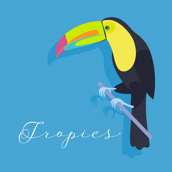 Toucan Vilda Fågel Vektor Illustration Eller Banner Affisch Clipart Med — Stock vektor