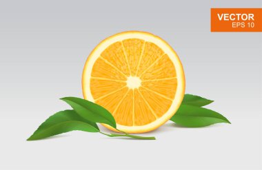 Portakal rengi gerçekçi 3D çizim, tasarım elementi. Turuncunun yarısı yapraklı.