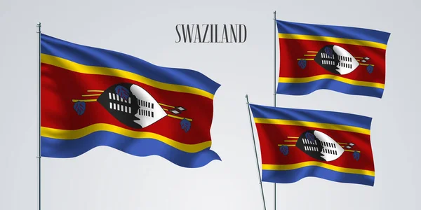 Swaziland Sventola Bandiera Insieme Illustrazione Vettoriale Elementi Blu Rossi Emblema — Vettoriale Stock