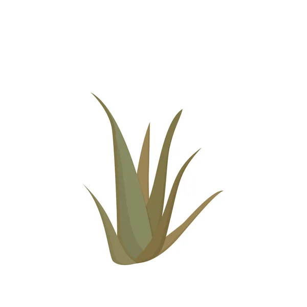 cactus plants. cacti vector illustration isolated on white background