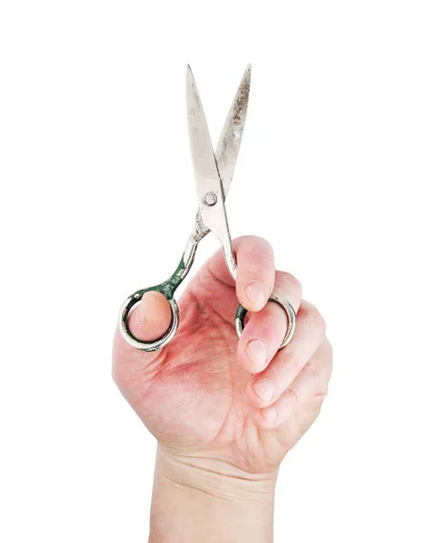 Hairdresser Holding Hand Scissors Cutting Hair Isolated White Background — Stock Photo, Image