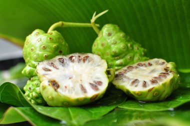 Noni meyve (Morinda citrifolia) 