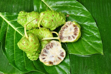 Noni meyve (Morinda citrifolia) 