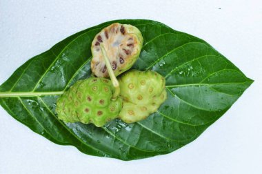 Noni meyve (Morinda citrifolia) 