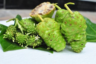 Noni meyve (Morinda citrifolia) 