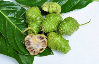 Noni meyve (Morinda citrifolia) 