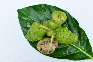 Noni meyve (Morinda citrifolia) 