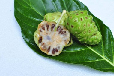 Noni meyve (Morinda citrifolia) 