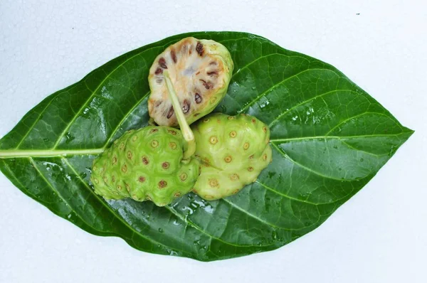 Noni meyve (Morinda citrifolia) 
