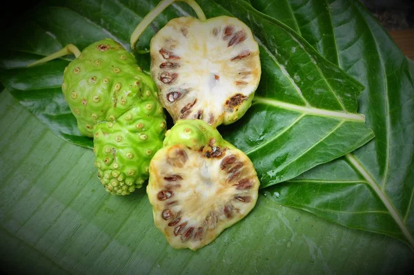 Noni meyve (Morinda citrifolia) 