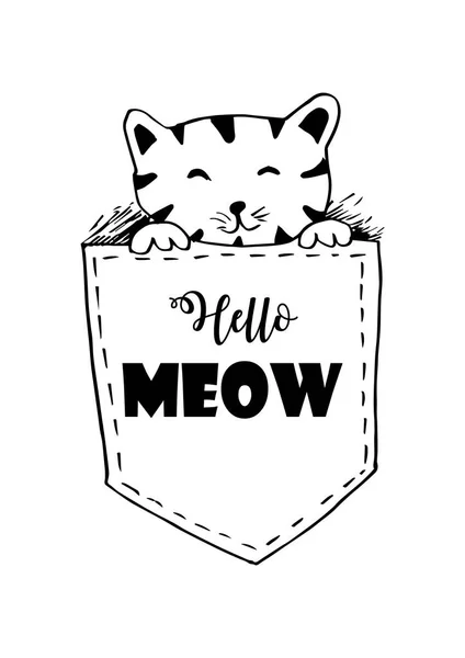 Şirin Kedi Kelime Merhaba Miyav Ile Cebinde Kartları Ilanları Afişler — Stok fotoğraf