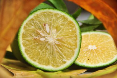 Taze limon dilimleri. Yeşil yakın çekim.