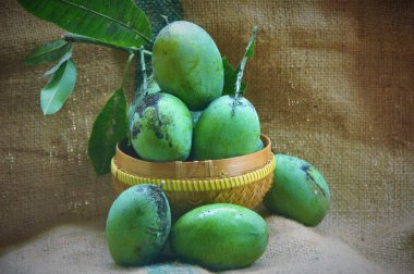 Çavuş çuval zemin üzerine yeşil Mango.