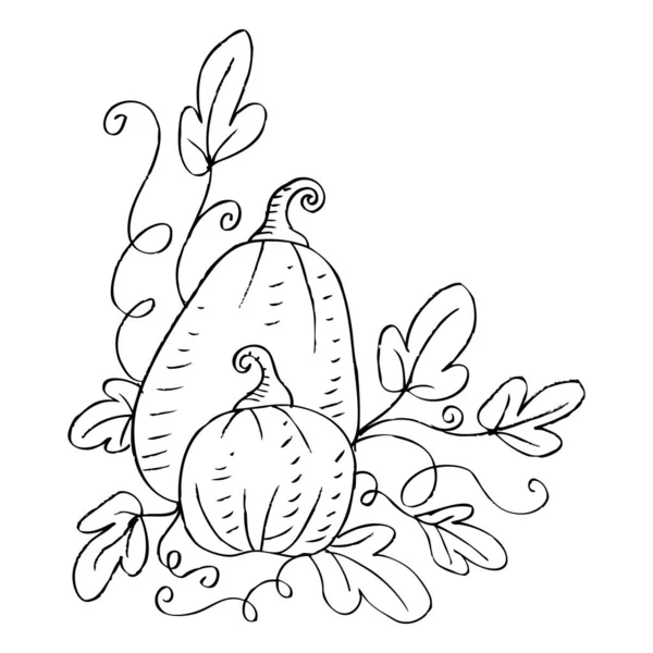 Calabaza Vegetal Con Hojas — Vector de stock