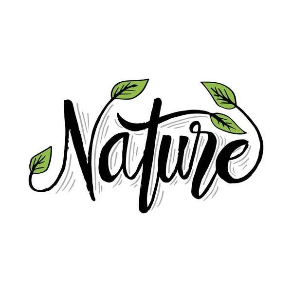 Naturaleza Mano Letras Caligrafía Con Hojas — Vector de stock