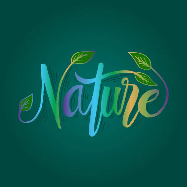 Nature Hand Lettering Calligraphy Leaves — Stock Vector