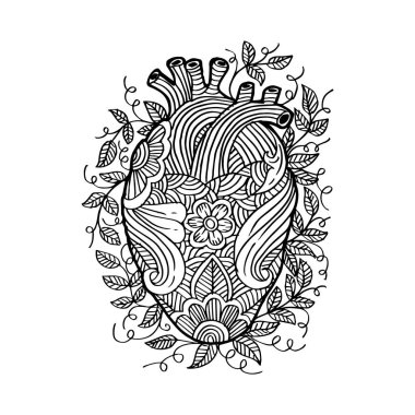 El çizim kroki insan kalbi .