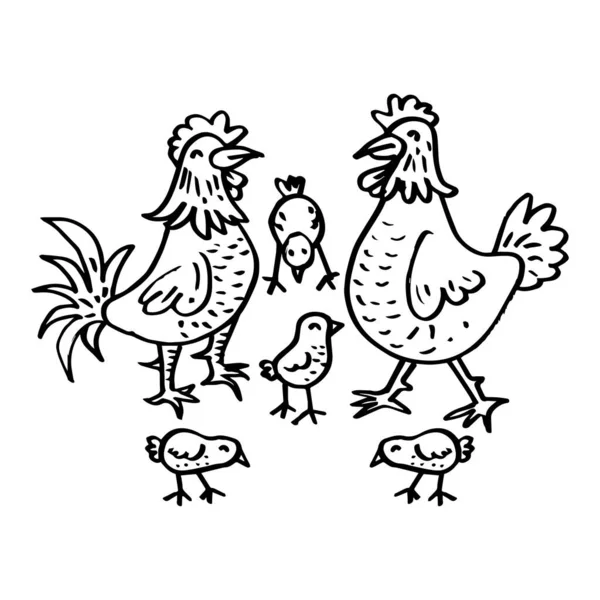 白い背景に隔離されたかわいい漫画の鶏の家族 — ストックベクタ