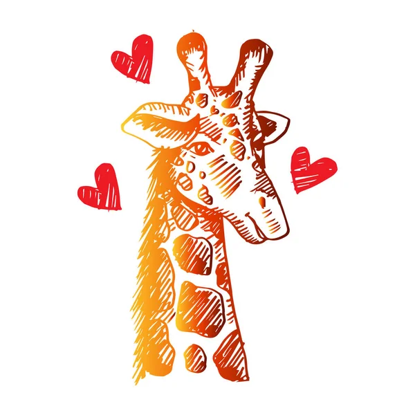 Esboço Girafa Isolado Fundo Branco —  Vetores de Stock