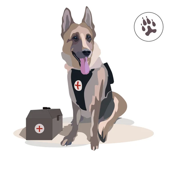 Köpek. Alman çoban köpeği. Kurtarıcı. Veteriner, tıbbi yardım. Evcil hayvanlar. Takvim, poster, afiş, kitapçık, broşür.