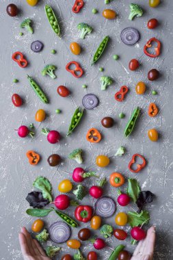 Temiz kavramı yeme. Taze organik sebze elleri olan. Turp, yeşil bezelye, brokoli, domates ve soğan gri arka plan üzerinde. 