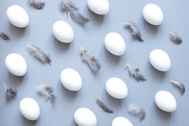 Paskalya arka plan. Paskalya yumurtası desen beyaz yumurta ve mavi renkli tüyler.