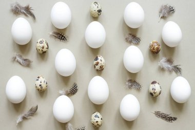 Doğal Paskalya arka plan. Paskalya yumurtası kompozisyon beyaz yumurta, bıldırcın yumurtası ve tüyler.