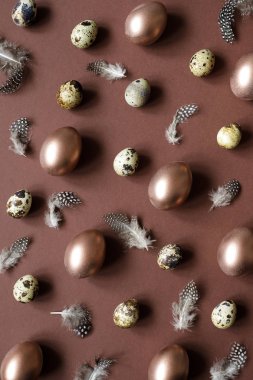 Paskalya tatili arka plan. Paskalya yortusu yumurta boyalı yumurta, bıldırcın yumurtası ve tüyler kahverengi zemin bileşimi.