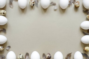 Paskalya arka plan. Beyaz yumurta, bıldırcın yumurtası ve kopya alanı tüyleriyle Paskalya çerçeve yaptı.