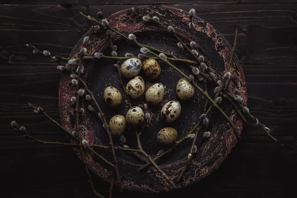 Ovos de codorna com ramo de salgueiro buceta na placa no fundo de madeira . Fotos De Bancos De Imagens