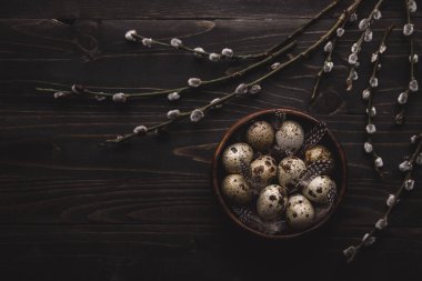 Ahşap kase ve siyah ahşap arka planda kedi söğüt dalları organik bıldırcın yumurtaları. Boşluk Kopyala