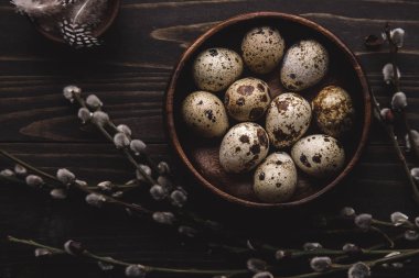 Koyu ahşap arka plan üzerinde ahşap kase ve Kukum dallarında organik bıldırcın yumurtası. 