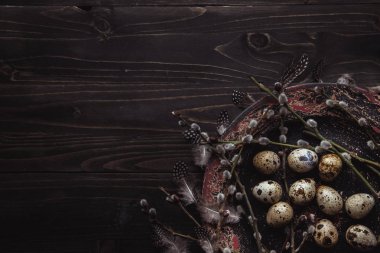 Kukum Şubeler ve plaka ahşap arka plan üzerinde tüyler ile bıldırcın yumurtası. Paskalya arka plan kopya alanı ile.