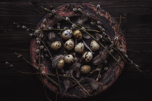 Ovos de codorna com ramo de salgueiro buceta e penas na placa no fundo de madeira . Imagens De Bancos De Imagens Sem Royalties