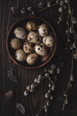 Organik bıldırcın yumurtası tüyler koyu ahşap arka plan ile ahşap kase ve Kukum dallarında. 