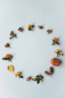 Kopya alanı ile açık mavi arka plan üzerinde Sonbahar kompozisyon. 