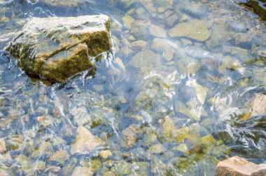 Sahildeki kayalar, su ve kayalar, su ve taşlar