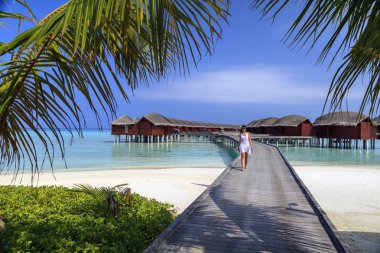 Fiihalhohi Island Resort, Maldivler - 21 Mart 2017: Fihalhohi Island Resort; Cennet dinlenme. Güzel deniz manzarası. Dinlenmek için bir yer