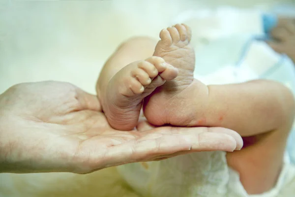 Mama Ţine Picioarele Goale Ale Nou Născutului Picioare Mici Mâna — Fotografie, imagine de stoc