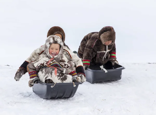 Nadym Russland April 2018 Tundra Freigelände Kinder Fahren Auf Schlitten — Stockfoto