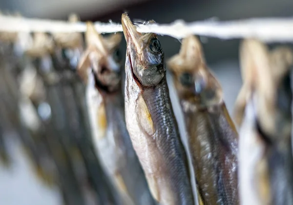 Pescado Seco Seco Seco Olfateado Osmeridae — Foto de Stock