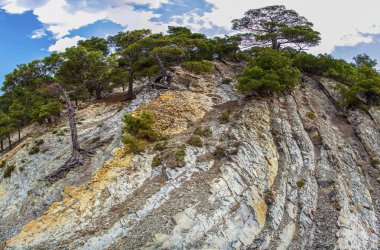 dağ manzarası, deniz kenarında, bay Dzhanhot, Gelendzhik, Rusya Federasyonu kıyısında buzlu çam ormanı. Panorama-360