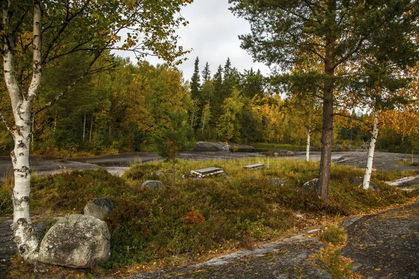 Hällristningar Karelen Landskapet Zalavruga — Stockfoto