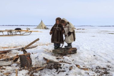 Nadym, Rusya Federasyonu - 27 Nisan 2018: tundra, açık alan, soğuk kış hava, Ulusal giysiler içinde çocuklar yardım Papa'nın yakacak odun, editoryal doğrayın