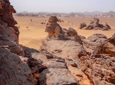 Ennedi Yaylası, Chad, Ennedi-Ouest ve Ennedi-Est, bölgelerinde kuzeydoğusunda yer alan bir kumtaşı siper Sahara ortasında olduğunu