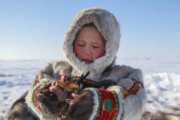 Tundra Nyílt Területen Fiú Eszik Egy Édes Hideg Téli Időjárás — Stock Fotó