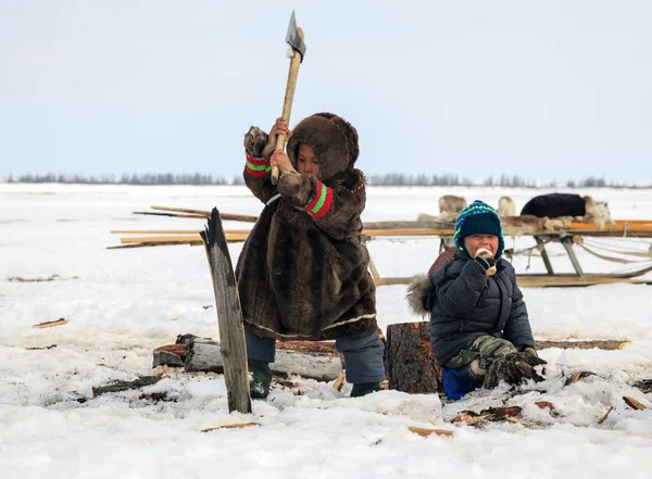 Nadym Federacja Rosyjska Kwietnia 2018 Tundra Otwartej Przestrzeni Chłopcy Krajowych — Zdjęcie stockowe