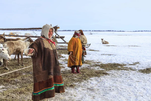 Nadym Russland April 2018 Tundra Freigelände Assistenzzüchterin Die Frauen Der — Stockfoto